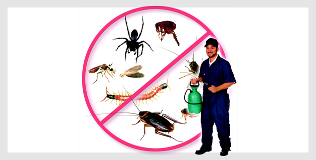 Pests Control Services