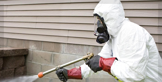 Pests Control Services