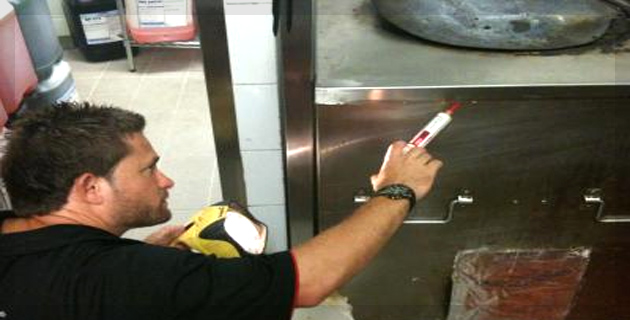 Pests Control Services