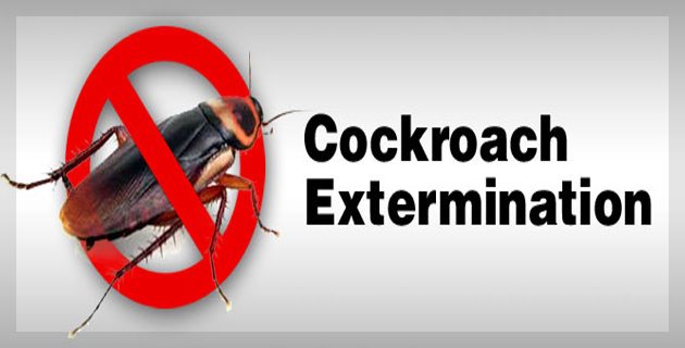 Pests Control Services