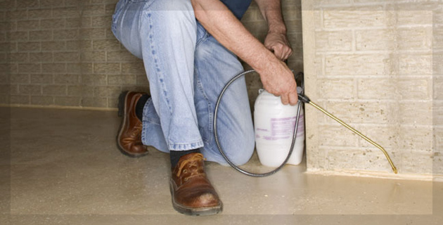 Pests Control Services