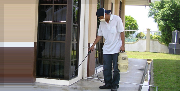 Pests Control Services