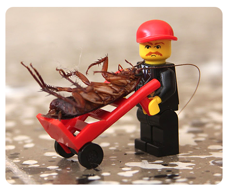 Pests Control Services