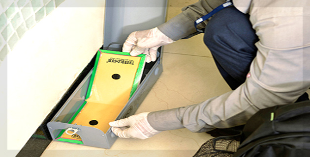 Pests Control Services