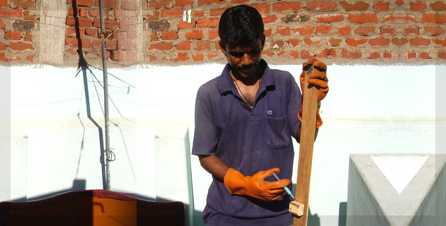 Pests Control Services